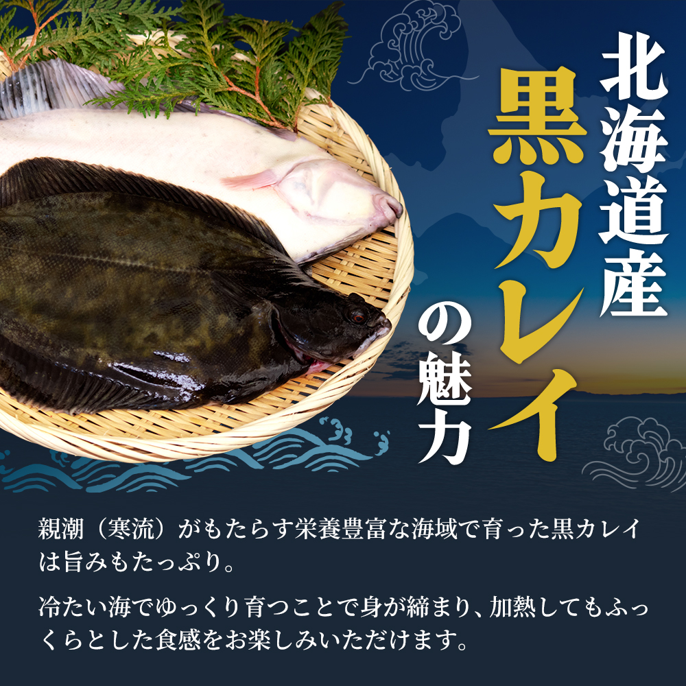 北海道産 訳あり黒かれい 切身 1kg 鰈 カレイ 煮つけ 魚 魚類 海魚 海鮮 北海道 厚岸町