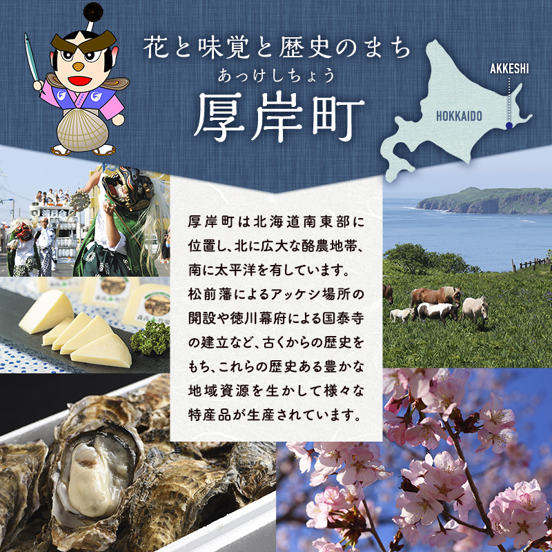 訳あり 伝統の味 北海道産 さんま米ぬか本漬 3尾×4パック (1袋あたり190g以上)【株式会社マルトク】 [ サンマ 秋刀魚 さんま 魚介類 魚貝類 漬魚 焼き魚 ] 