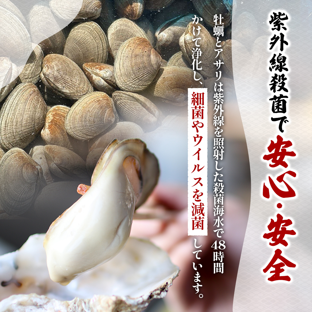 【お歳暮】北海道 厚岸産 砂抜き済み あさり 1kg ＆ ブランド牡蠣 マルえもん 殻付き LLサイズ 20個 【光輝】 [ 魚貝類 海鮮 海の幸 みそ汁 酒蒸し アサリバタ 産地直送 生食用牡蠣 生食用 牡蠣 カキ 