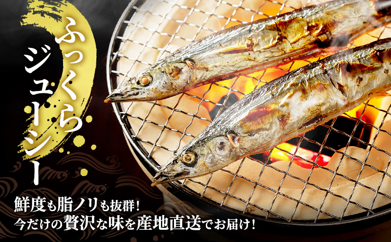 先行予約 産地直送 鮮度抜群 北海道 厚岸産 刺身用 鮮さんま 10本 サンマ 秋刀魚 さんま 鮮魚 魚介類 海産 生さんま