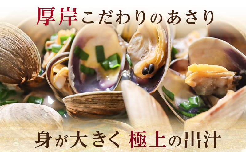 あさり 簡単 お手軽 北海道 厚岸産 天然 ブランチング加工 3D 冷凍 大あさり 500g ×1パック 貝 海鮮 魚介類