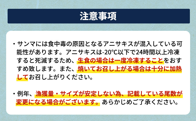 先行予約 産地直送 鮮度抜群 北海道 厚岸産 刺身用 鮮さんま 5本 サンマ 秋刀魚 さんま 鮮魚 魚介類 海産 生さんま