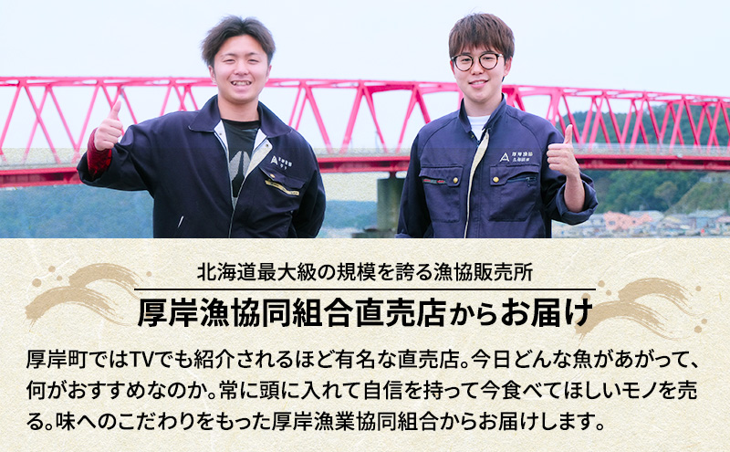 先行予約 産地直送 鮮度抜群 北海道 厚岸産 刺身用 鮮さんま 10本 サンマ 秋刀魚 さんま 鮮魚 魚介類 海産 生さんま