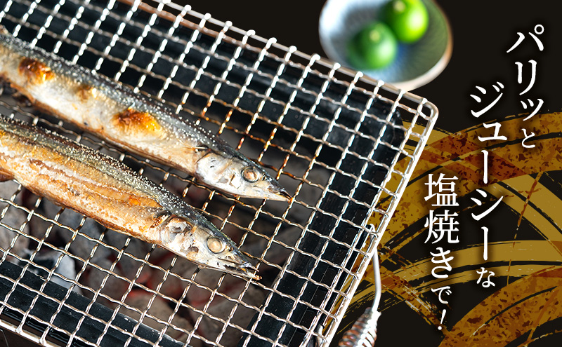 先行予約 産地直送 鮮度抜群 北海道 厚岸産 刺身用 鮮さんま 10本 サンマ 秋刀魚 さんま 鮮魚 魚介類 海産 生さんま