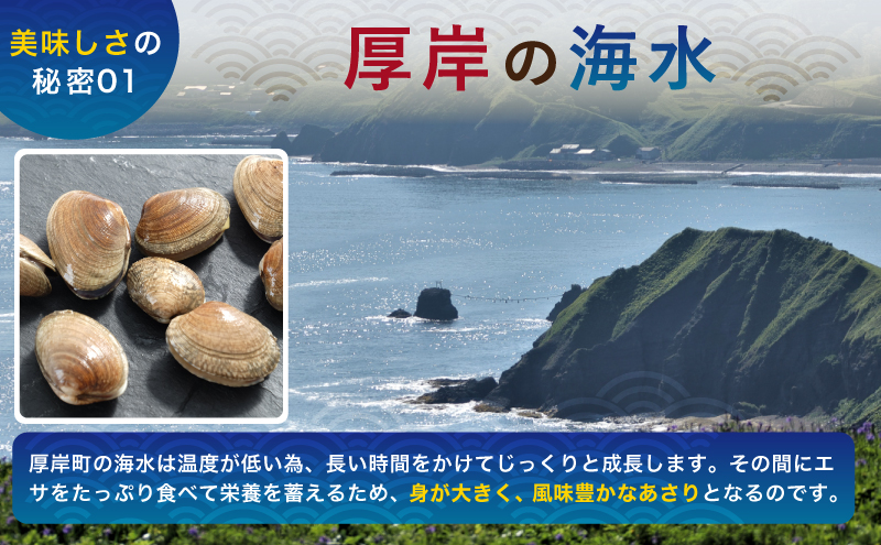 あさり 簡単 お手軽 北海道 厚岸産 天然 ブランチング加工 3D 冷凍 大あさり 500g ×2パック 貝 海鮮 魚介類