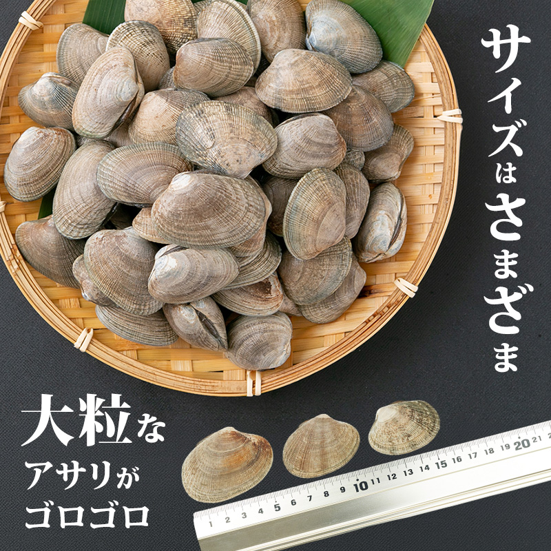 定期便 3ヵ月 アサリ 北海道 厚岸産 砂出し済み 冷凍 ボイル あさり 400g×2 (合計800g) 【ぎょれん道東食品】[魚貝 海鮮 大粒 美味しい 栄養 旨み 砂出し 水洗い 便利 ]