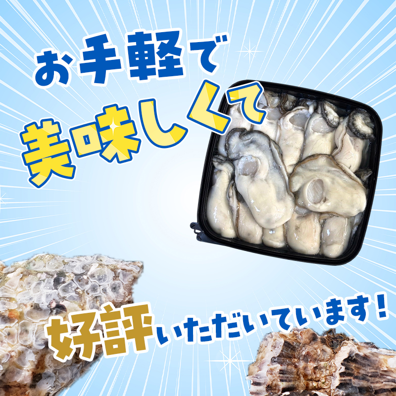 カキ むき身　厚岸産 生食 むき身牡蠣 「選ばれし12粒」 無水パック仕立て　牡蠣 かき マルユウ海楽