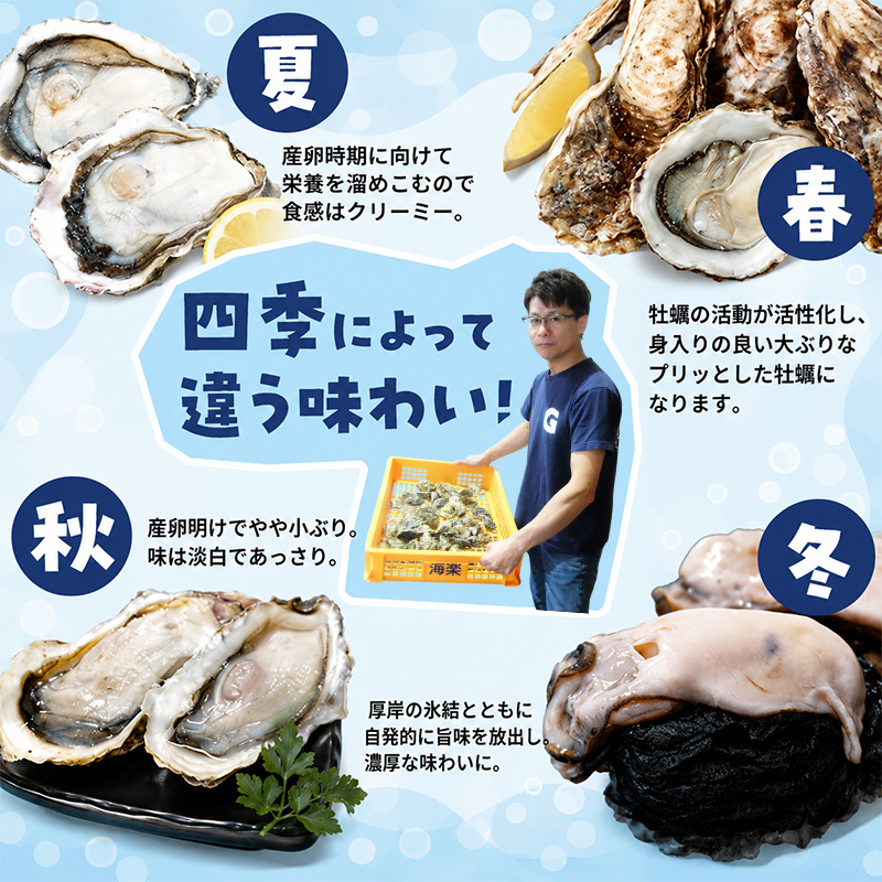 カキ むき身　厚岸産 生食 むき身牡蠣 「選ばれし12粒」 無水パック仕立て　牡蠣 かき マルユウ海楽