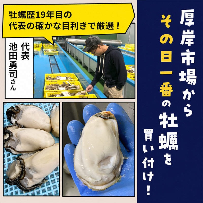 牡蠣 冷凍 むき身 訳あり 生食 北海道厚岸町産 大容量 1kg （200g×5パック） 解凍してすぐ生食・加熱両用 カキ かき 魚介類 （マルユウ海楽）