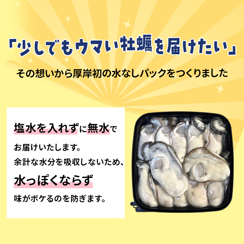 カキ むき身　厚岸産 生食 むき身牡蠣 「選ばれし12粒」 無水パック仕立て　牡蠣 かき マルユウ海楽