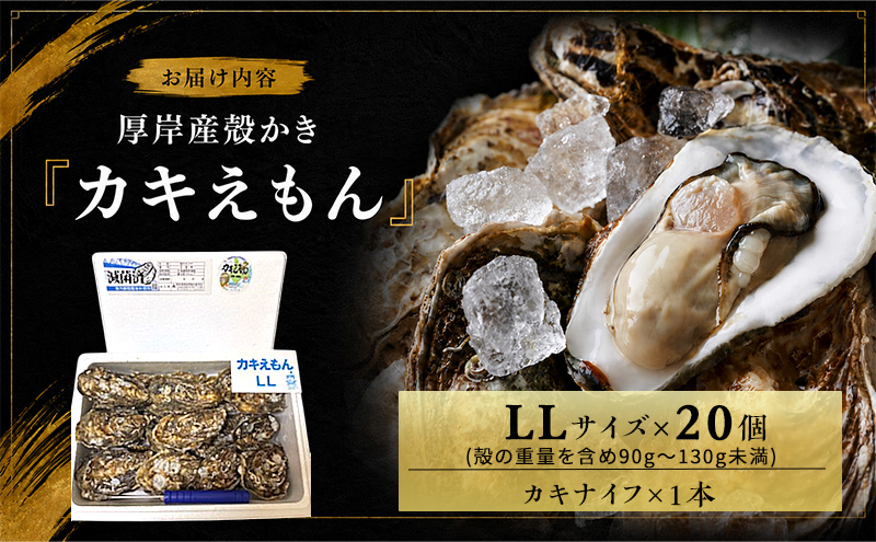 カキ 生食用 北海道 厚岸産 殻かき カキエモン LLサイズ  20個 牡蠣 魚貝類 生牡蠣 殻付き牡蠣 カキ ブランド
