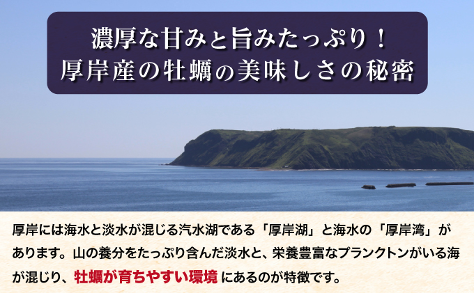 【2月～3月発送】北海道 厚岸産 ブランド牡殻かき 二種 食べ比べ (弁天かき＆カキえもん)　8個 牡蠣 魚貝類 生牡蠣 殻付き牡蠣 カキ