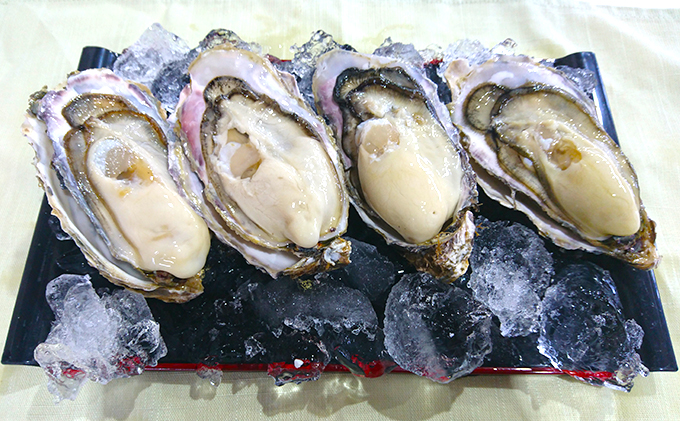 カキ 生食用 北海道 厚岸産 殻かき カキエモン LLサイズ  5個 牡蠣 魚貝類 生牡蠣 殻付き牡蠣 カキ ブランド
