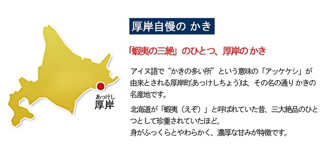 カキ 生食用 北海道 厚岸産 殻かき 新ブランド弁天かき A3サイズ  5個 牡蠣 魚貝類 生牡蠣 殻付き牡蠣 カキ