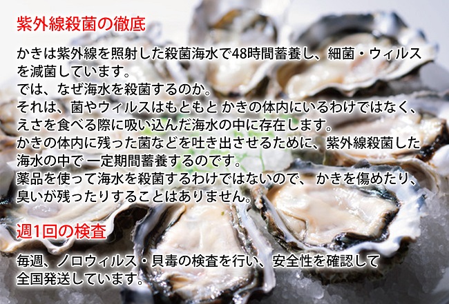 カキ 生食用 北海道 厚岸産 殻かき 新ブランド弁天かき A3サイズ  10個 牡蠣 魚貝類 生牡蠣 殻付き牡蠣 カキ