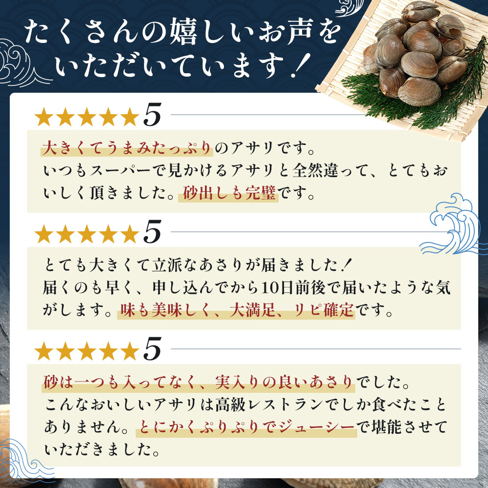 あさり【4月～6月発送】北海道 厚岸町産 天然 殻あさり(大)  500g×1　【厚岸漁業協同組合】[ アサリ 貝 味噌汁 酒蒸し 混ぜご飯 ] 