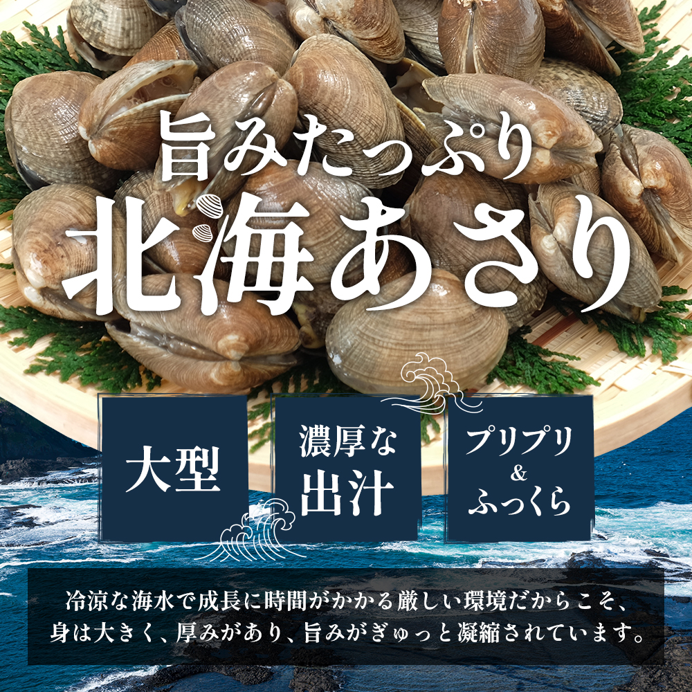 あさり【4月～6月発送】北海道 厚岸町産 天然 殻あさり(大)  500g×1　【厚岸漁業協同組合】[ アサリ 貝 味噌汁 酒蒸し 混ぜご飯 ] 