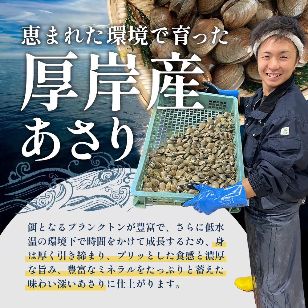 あさり【4月～6月発送】北海道 厚岸町産 天然 殻あさり(大)  500g×2　【厚岸漁業協同組合】[ アサリ 貝 味噌汁 酒蒸し 混ぜご飯 ] 