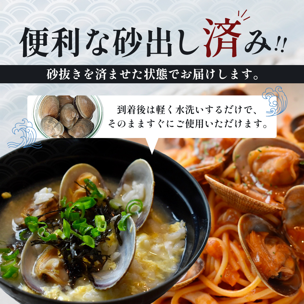 あさり【4月～6月発送】北海道 厚岸町産 天然 殻あさり(大)  500g×2　【厚岸漁業協同組合】[ アサリ 貝 味噌汁 酒蒸し 混ぜご飯 ] 