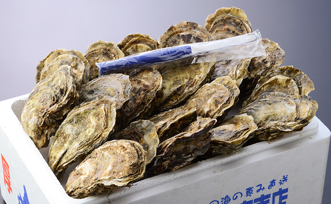 定期便 3ヵ月 牡蠣 殻付き 生食 3L20個 北海道 厚岸産 マルえもん【厚岸漁業協同組合】カキナイフ付 [ カキ かき 生牡蠣 殻かき オイスター 冷蔵 ］