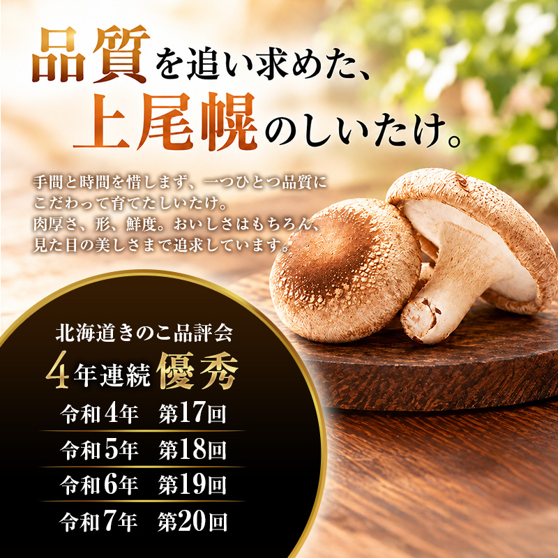訳あり 椎茸 北海道 厚岸町 上尾幌 朝どれ 菌床 しいたけ 「極茸」 バラ 1kg 【上尾幌きのこ生産協同組合】[ きのこ キノコ 新鮮 肉厚 国産  品評会で金賞受賞 ]