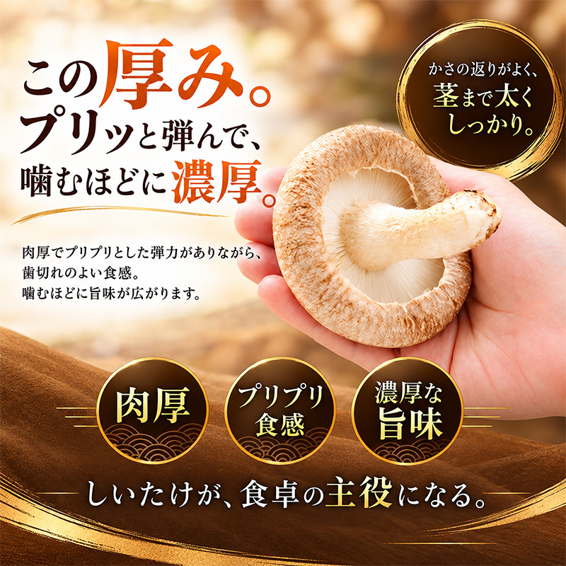 訳あり 椎茸 北海道 厚岸町 上尾幌 朝どれ 菌床 しいたけ 「極茸」 バラ 1kg 【上尾幌きのこ生産協同組合】[ きのこ キノコ 新鮮 肉厚 国産  品評会で金賞受賞 ]