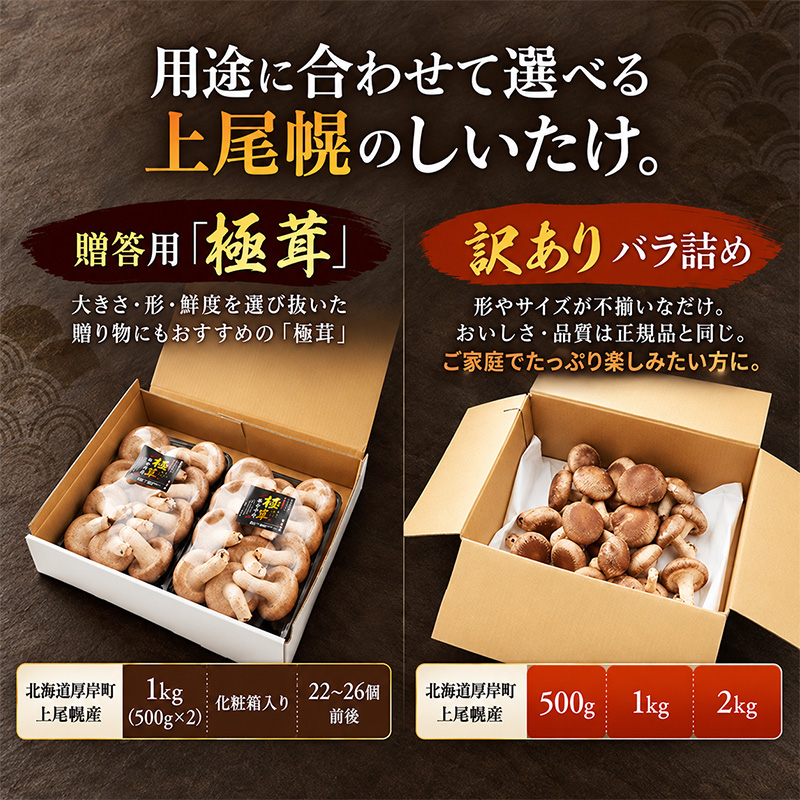 訳あり 椎茸 北海道 厚岸町 上尾幌 朝どれ 菌床 しいたけ 「極茸」 バラ 1kg 【上尾幌きのこ生産協同組合】[ きのこ キノコ 新鮮 肉厚 国産  品評会で金賞受賞 ]