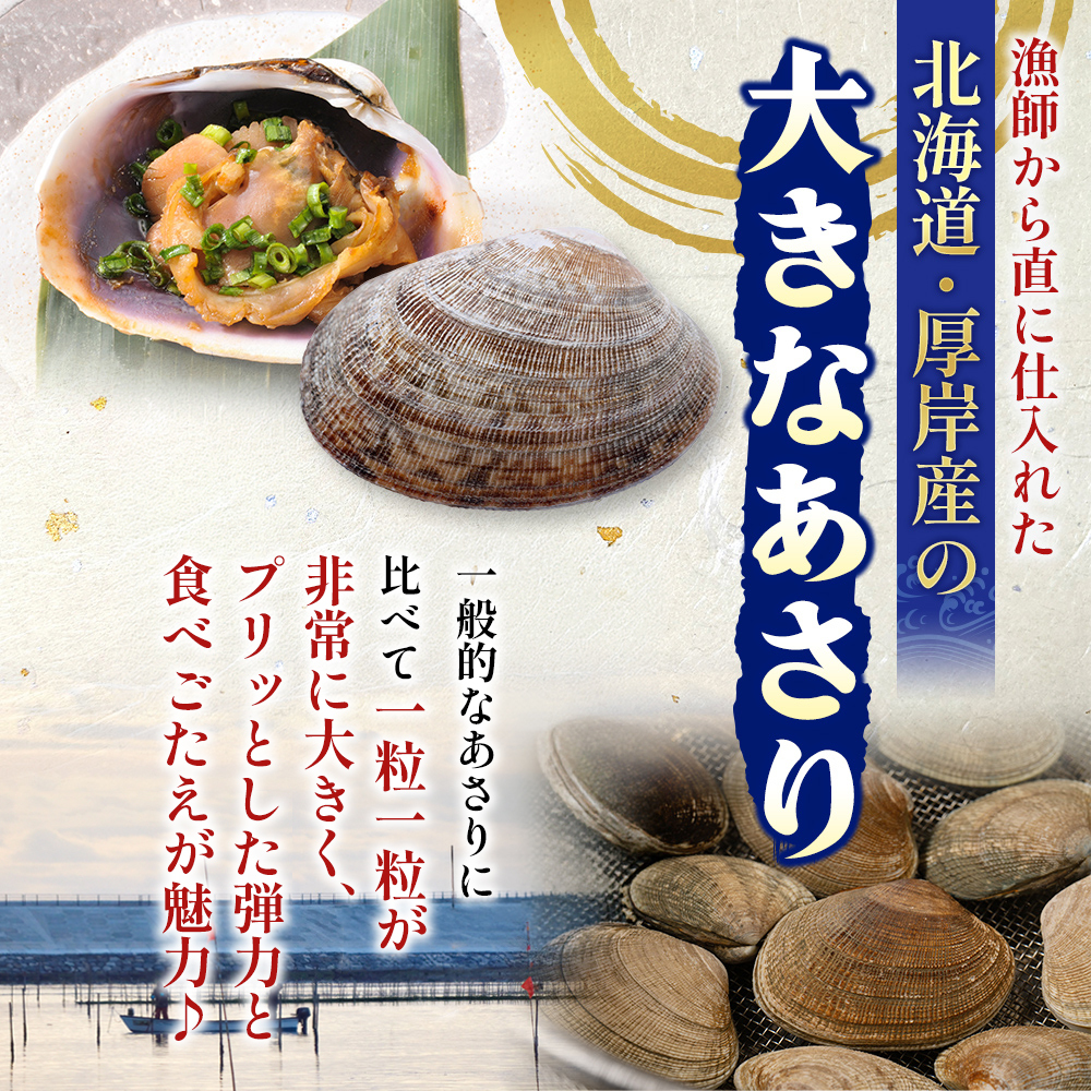 北海道 厚岸産 あさり 500g×1パック (合計500g) 大中混合 アサリ 魚貝 海 美味しい 栄養 旨み 砂出し 水洗い 冷蔵 冷凍保存可能 便利