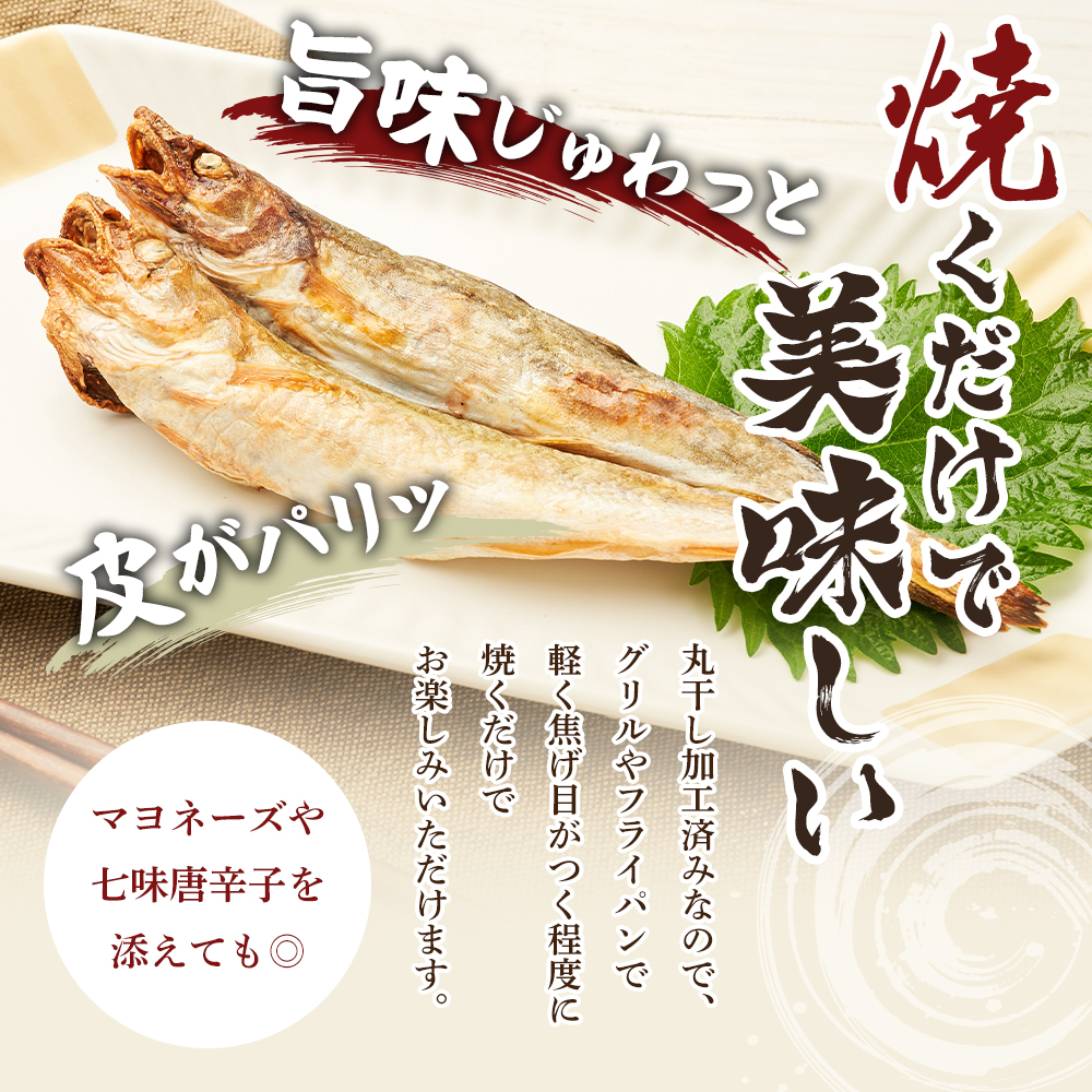 先行予約 2027年2月発送  北海道 厚岸産 丸干しコマイ 190g×4パック ソウルフード 魚貝類 干物 焼魚 おつまみ 冷凍 厚岸湖 天日干し 焼くだけ おかず 