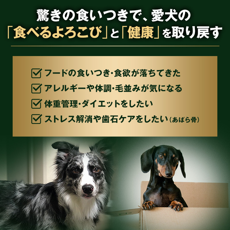 【ペット用ジビエ】無添加 エゾシカ ミンチ肉 500g 犬用 生肉 北海道産 鹿肉【deer food】ハンター直送 [ 健康 体 毎日 習慣 大事 安心 安全 ブロック カット タンパク 低脂質 ] 