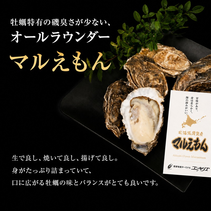 厚岸産 『 マルえもん 』『 カキえもん 』『 弁天かき 』3種 食べ比べ セット  北海道 牡蠣 カキ かき 生食 生食用 生牡蠣 魚貝類 