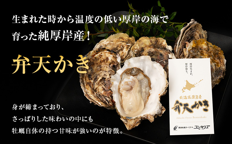 厚岸町 新ブランド 『 弁天かき 』 Lサイズ 15個  北海道 牡蠣 カキ かき 生食 生食用 生牡蠣 魚介類 魚貝類 