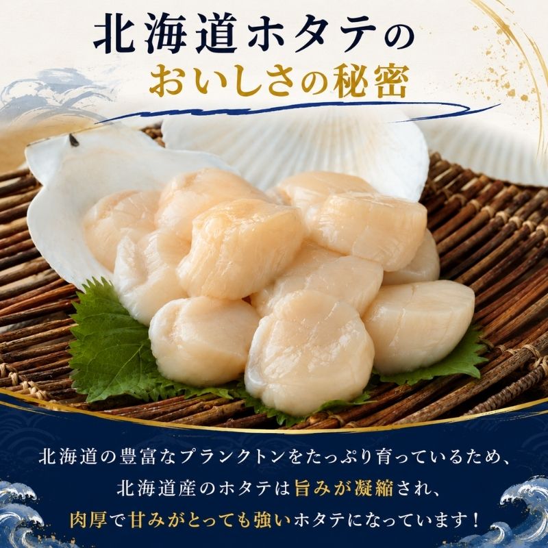 北海道産 冷凍 帆立貝柱 500g (18玉前後) ホタテ ほたて 玉冷 魚貝類 