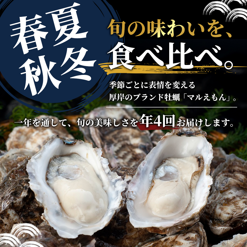 定期便 4回 季節によって味が違う！春夏秋冬「 牡蠣 」 【配送不可：沖縄・離島】 魚貝類 生牡蠣 かき マルえもん