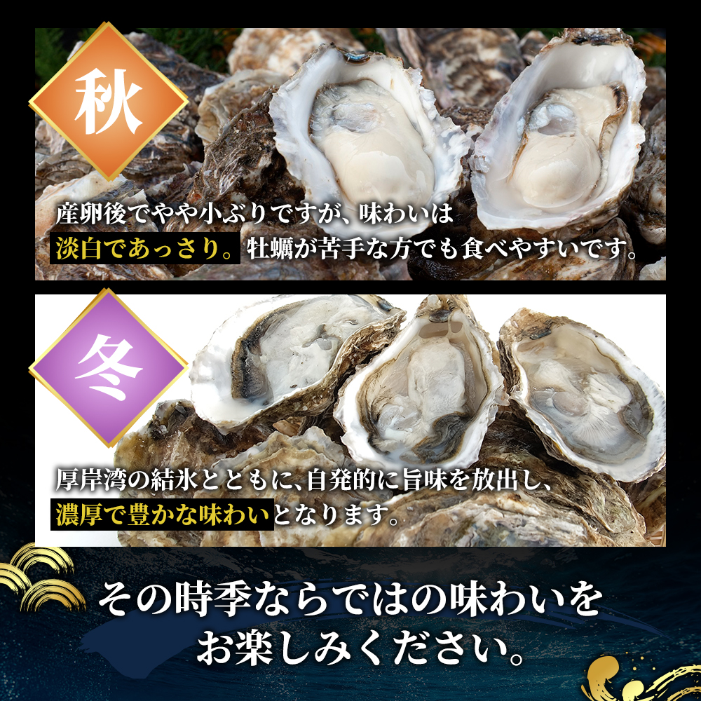 定期便 4回 季節によって味が違う！春夏秋冬「 牡蠣 」 【配送不可：沖縄・離島】 魚貝類 生牡蠣 かき マルえもん