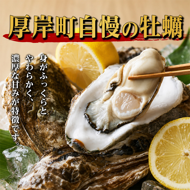定期便 3ヶ月 北海道 厚岸産 牡蠣 Lサイズ 20個 (各回20個×3ヶ月分,合計60個) 殻付き 生食 カキナイフ付き かき カキ 生牡蠣 魚介類 貝 マルえもん