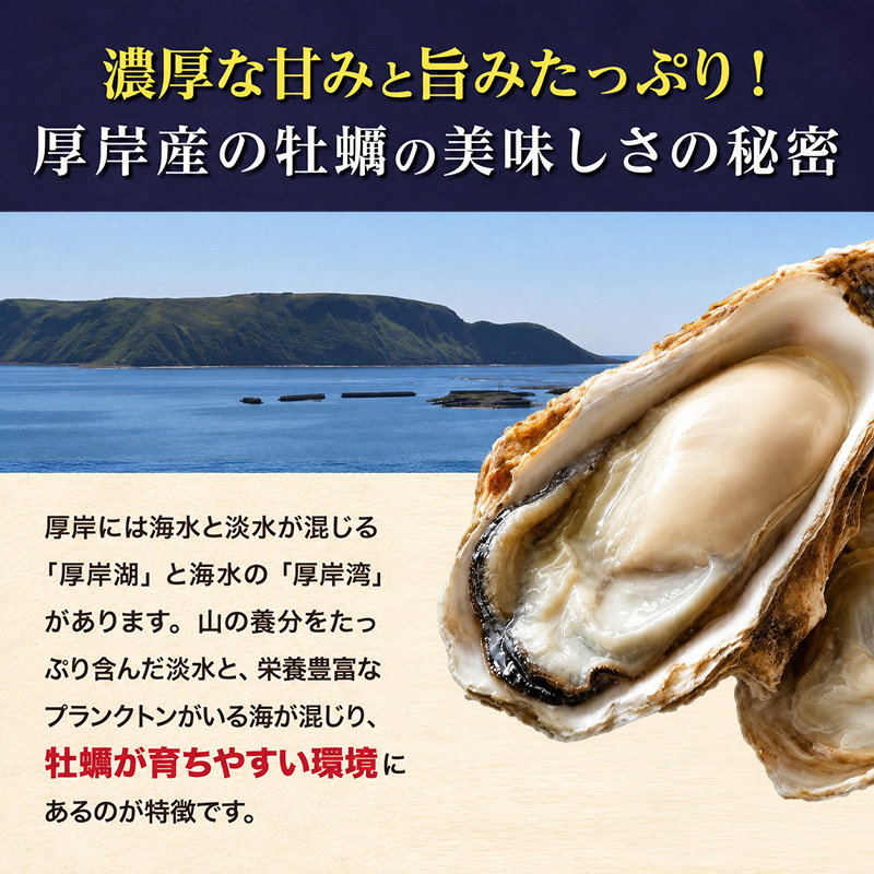 定期便 3ヶ月 北海道 厚岸産 牡蠣 Lサイズ 20個 (各回20個×3ヶ月分,合計60個) 殻付き 生食 カキナイフ付き かき カキ 生牡蠣 魚介類 貝 マルえもん