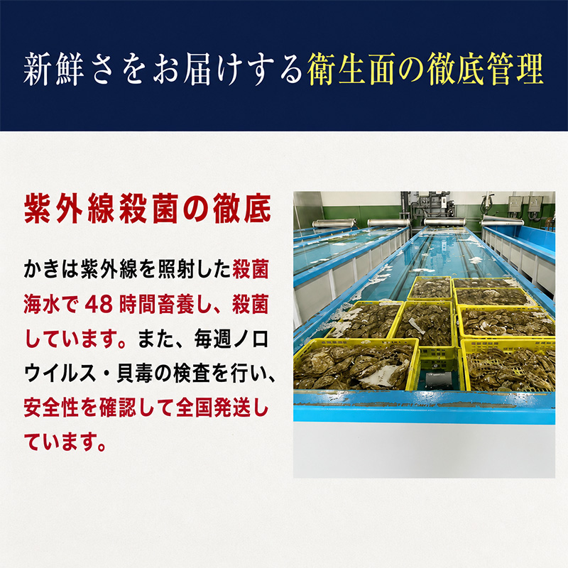 定期便 3ヶ月 北海道 厚岸産 牡蠣 Lサイズ 20個 (各回20個×3ヶ月分,合計60個) 殻付き 生食 カキナイフ付き かき カキ 生牡蠣 魚介類 貝 マルえもん
