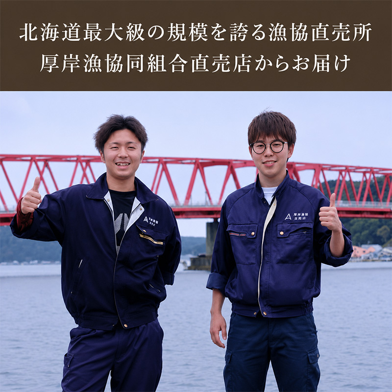 定期便 3ヶ月 北海道 厚岸産 牡蠣 Lサイズ 20個 (各回20個×3ヶ月分,合計60個) 殻付き 生食 カキナイフ付き かき カキ 生牡蠣 魚介類 貝 マルえもん