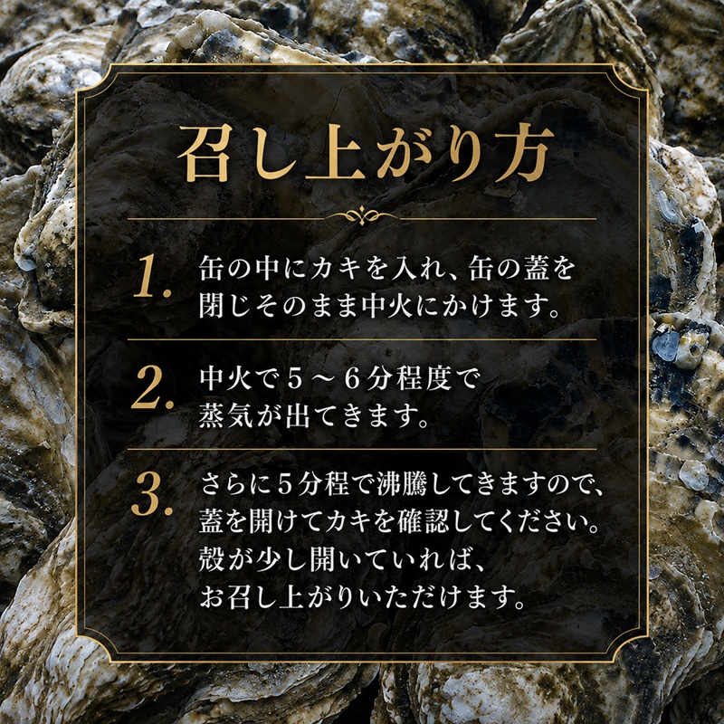 【厚岸漁協直売店特製】 かきガンガン焼 Ｍセット20個  北海道 牡蠣 カキ かき  生牡蠣 殻付  魚介類 マルえもん