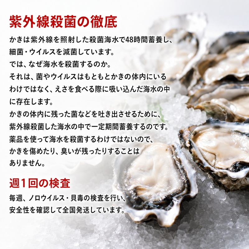 【厚岸漁協直売店特製】 かきガンガン焼 Lセット 15個 北海道 牡蠣 カキ かき  生牡蠣 殻付  魚介類 マルえもん