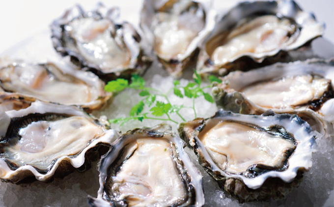 定期便 6ヶ月 北海道 厚岸産 牡蠣 3L 20個 と L 20個 ひと月あたり40個お届け (各回40個×6ヶ月分,合計240個) 殻付き 生食 かき カキ 魚貝類 生牡蠣 マルえもん