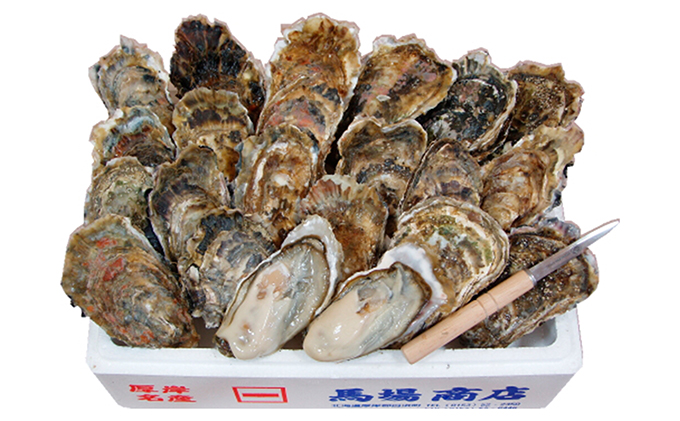 厚岸産　殻かき L20個セット 北海道 牡蠣 カキ かき 生食 生食用 生牡蠣 魚貝類 マルえもん