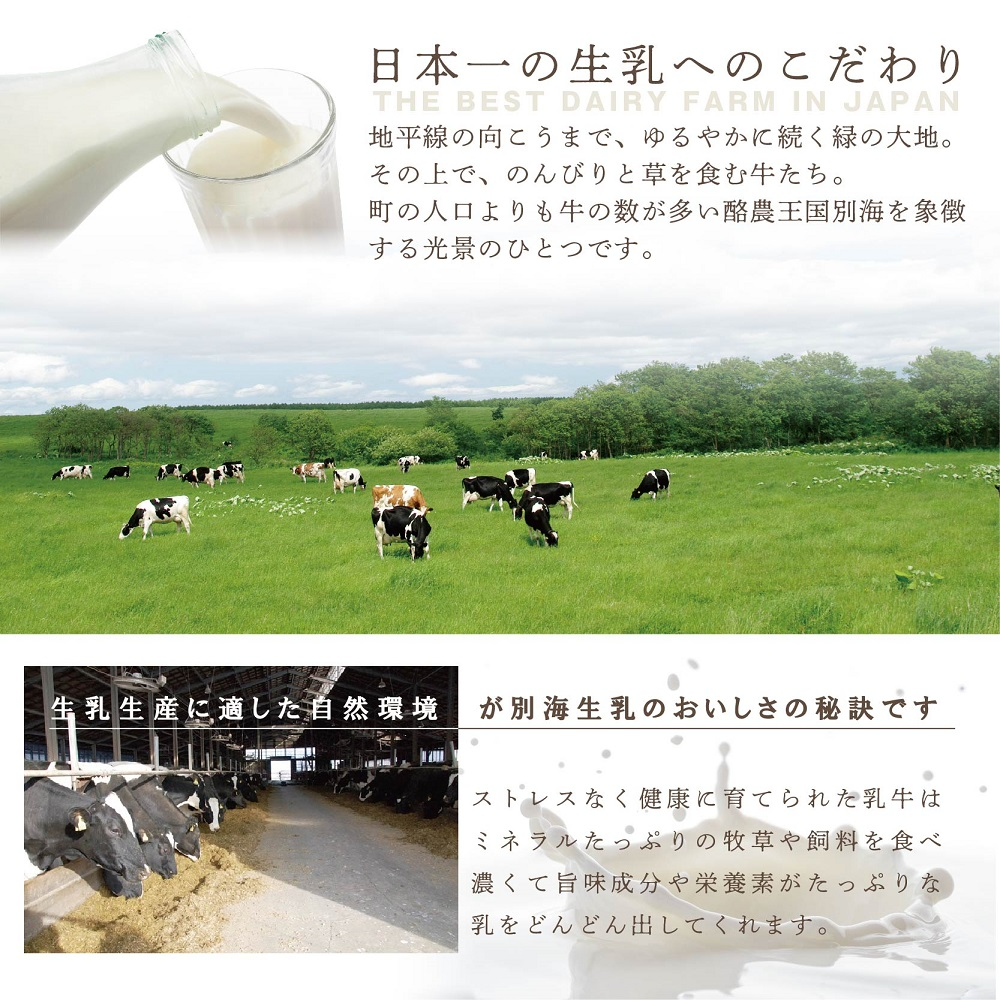 【ご好評につき数ヶ月待ち！】 (5月)北海道の新鮮ミルクたっぷり～♪こだわり【濃厚チーズケーキ】BETSUKAI～べつかい【CM0000003】濃厚 ケーキ 北海道 新鮮 ミルク たっぷり BETSUKAI 別海町 マスカルポーネ ふるさと納税 スイーツ ベイクドチーズ 人気 ランキング おすすめ ）