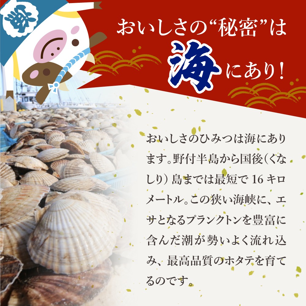 思わず笑うほど驚くお試しジャンボホタテ500g（ほたて ホタテ 帆立 貝柱 ホタテ貝柱 大玉 大粒 北海道 別海 野付 ふるさと納税）
