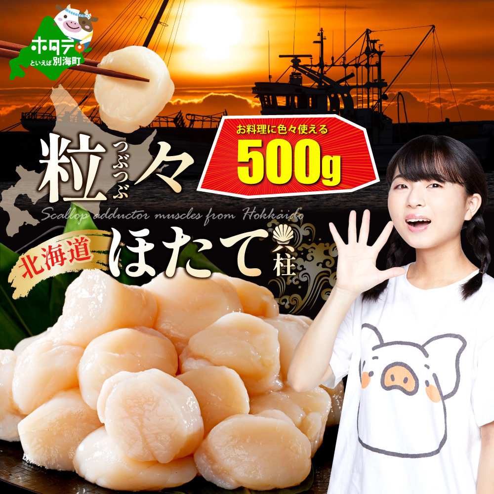 【訳あり】北海道 北海道産 ほたて 500g 帆立 貝柱 ホタテ 貝柱