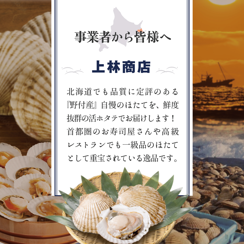 特大活ほたて ３kg相当 7～14枚入り＜朝どり新鮮出荷!＞