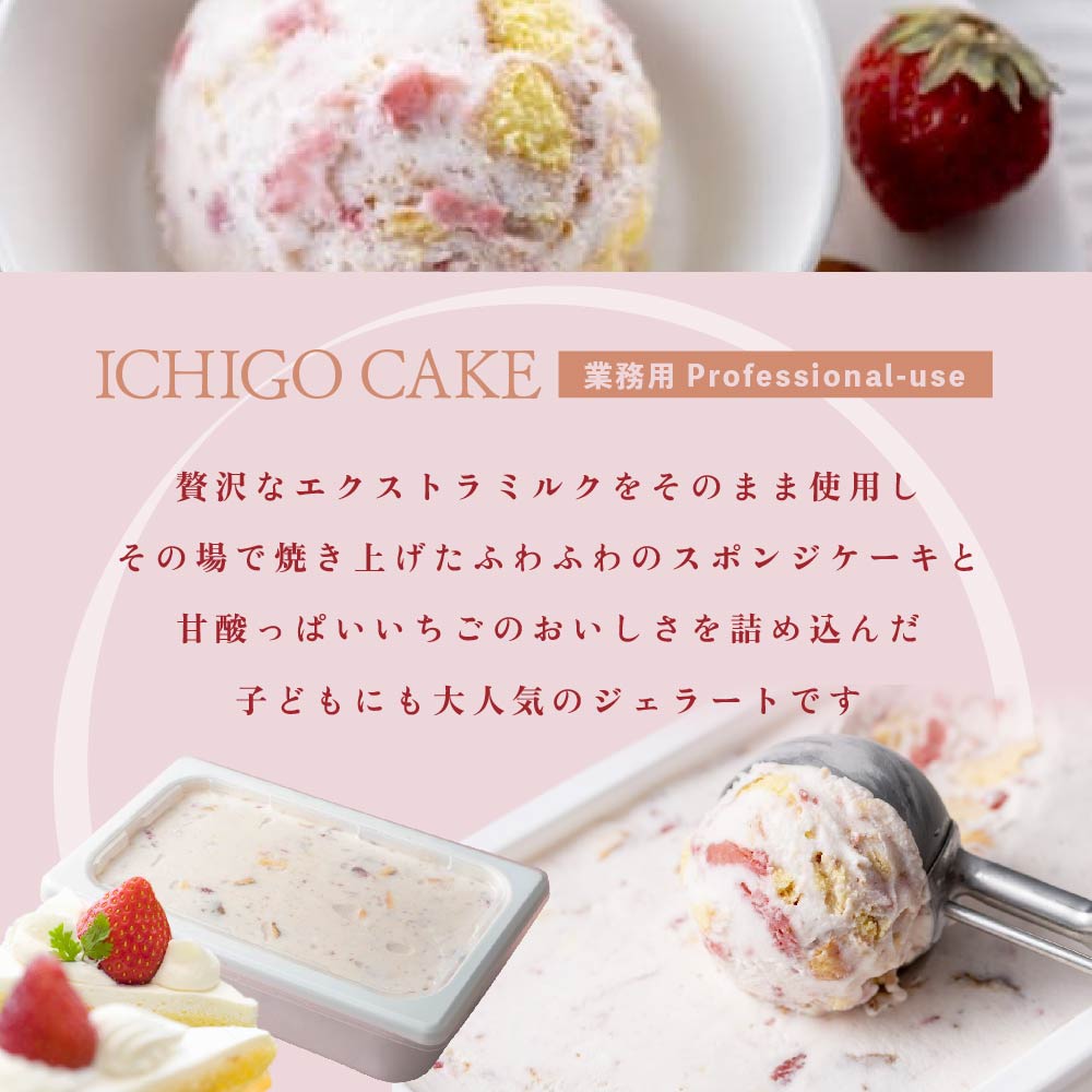 【隔月定期便】【THE ICE】業務用１リットル いちごケーキ ×2回定期便 【be003-1076-200-2】（いちご 苺 ギフト ふるさと納税 高評価 アイス ICE 生乳 別海町産 北海道 アイスクリーム べつかい エクストラミルク 生クリーム スイーツ 大人気 ケーキ）