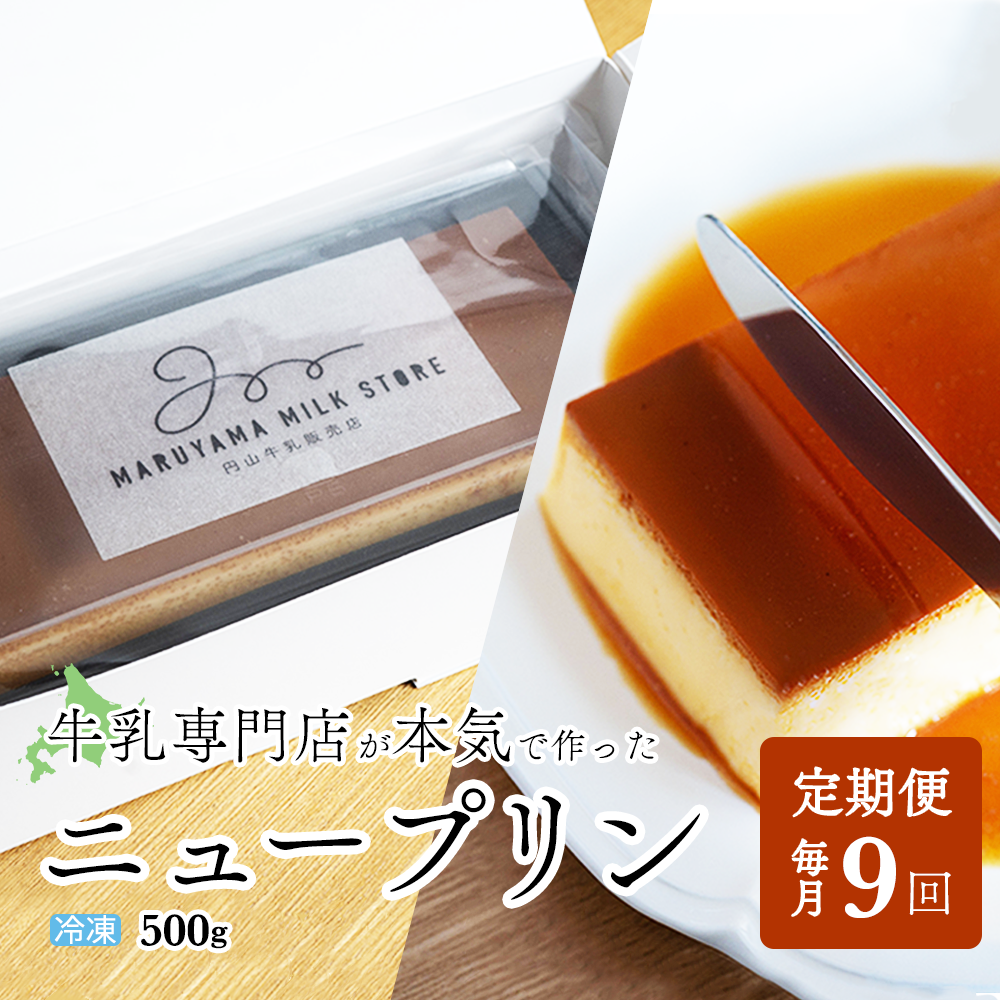 【定期便】濃厚プリン　New Pudding（ニュープディング）（500g×1本）×9ヶ月【be152-0931-100-9】