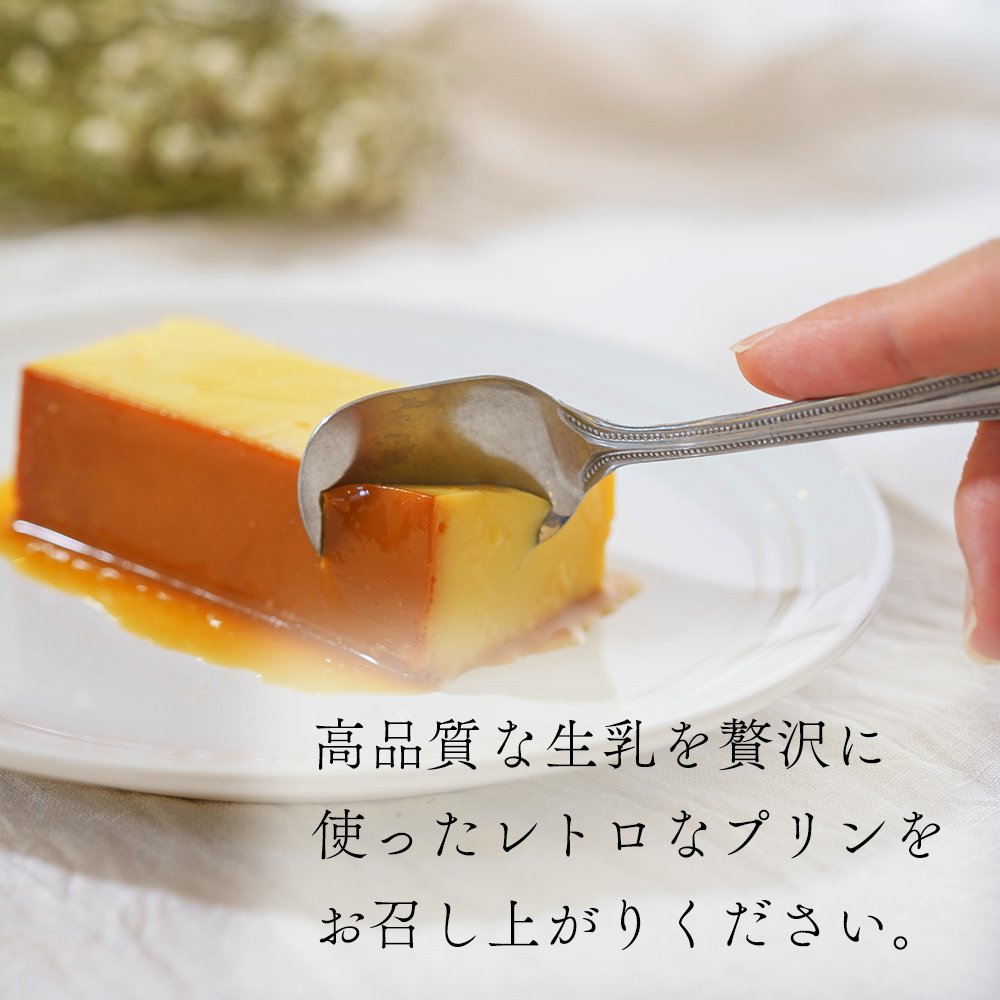 【定期便】濃厚プリン　New Pudding（ニュープディング）（500g×1本）×2ヶ月【be152-0931-100-2】